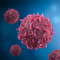 Mutasyona Uğramış RAS Proteinlerinin Ölümcül Kanserlerdeki Yeni Rolü Ortaya Çıkarıldı